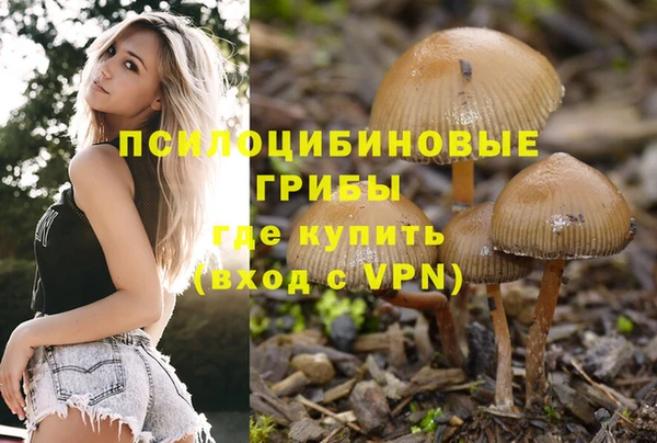 бошки Алексеевка