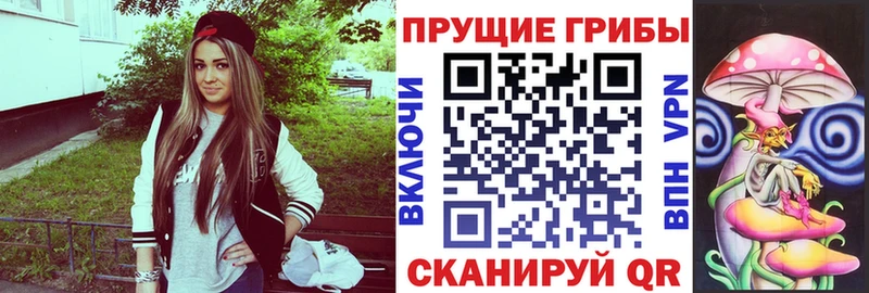 Псилоцибиновые грибы Psilocybine cubensis сколько стоит Подольск